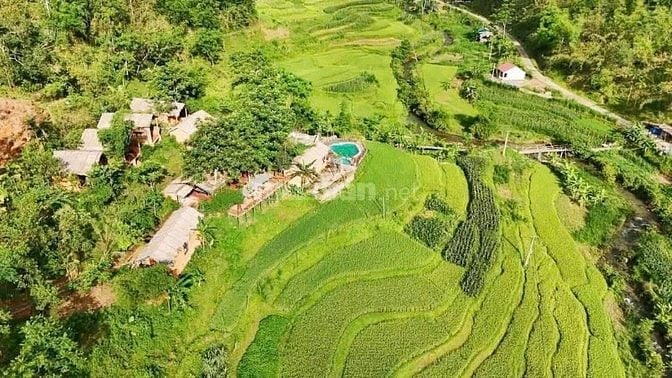 Chính Chủ Bán Khu Eco Lodge Pù Luông - View Suối, Full Nội Thất