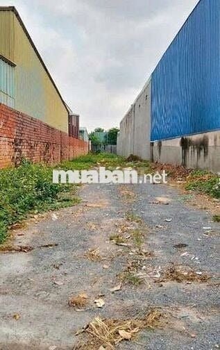 Bán lô đất siêu đẹp 436m2 Gía 1tỷ750tr mặt tiền Đại Lộ Bình Dương