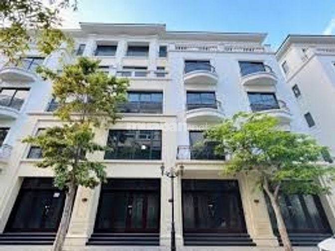 Bán căn liền kề San hô 16,84m sau khu biệt thự ngay vườn hoa Vinoceanp