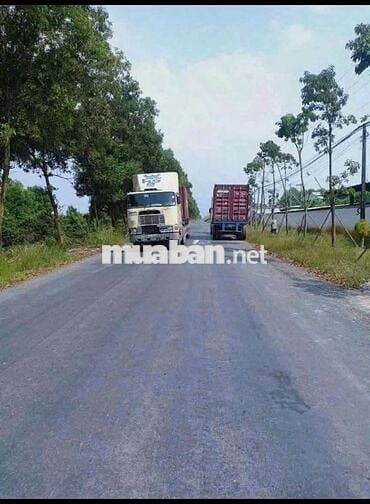Đất mặt tiền xe container thổ vườn dt990m giá 5tỷ7.lương hòa bến lức.