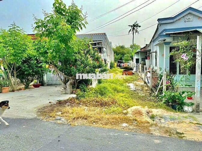 🏠 BÁC 2 CÒN LÔ 167M² 800TR MẶT TIỀN ĐƯỜNG NHỰA PHƯỚC THẠNH 🔥