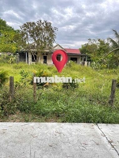 Sổ hồng chính chủ cần bán 3 thửa đất tại Vinh Thanh