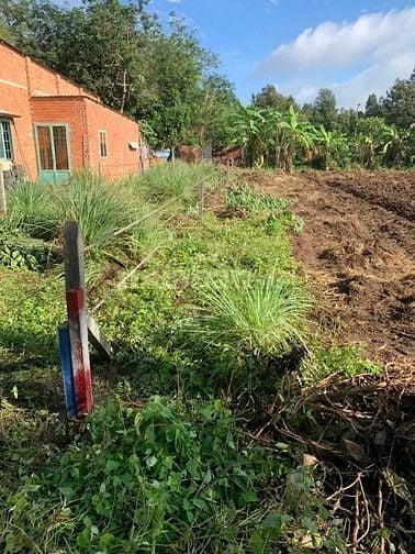 🔥 BÁN ĐẤT THỔ CƯ NGAY SAU CHỢ GIÁ 730 TRIỆU – PHÚ GIÁO, BÌNH DƯƠNG 🔥