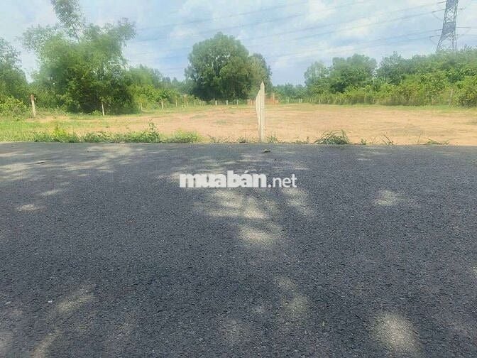 Bán đất lớn 1.314m² Phú An – Mặt tiền ĐX049, giá chỉ 3,19 Tỷ
