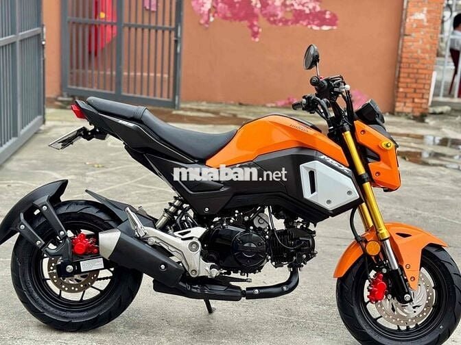 Honda Msx125 đẹp lướt 2019,BSSG,chính chủ cực keg