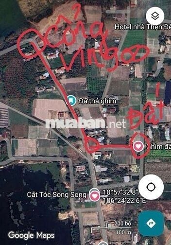 Cần bán đất Bàu Công, Hậu Nghĩa, Tây Ninh gần Vin 930ha