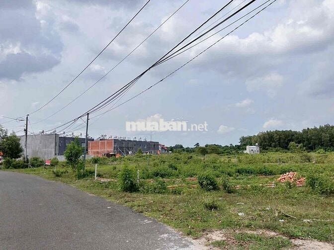 Bán đất mặt tiền nhựa Long Khánh Đồng Nai