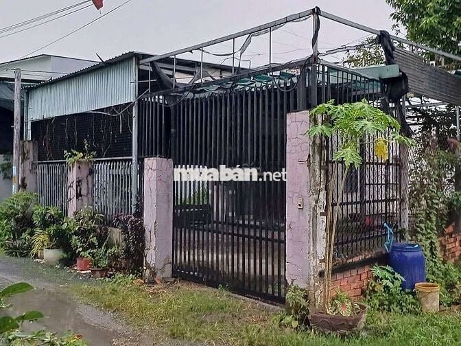 Cho thuê nhà cấp 4 dt300m2 Tân Thắng, gần KDC Biconsi