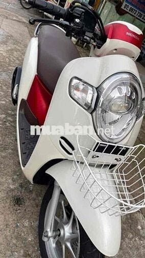 scoopy 2020 biển tp