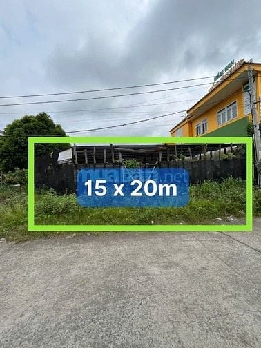 Cho thuê đất hẻm betong 8m , đường Đỗ Xuân Hợp 