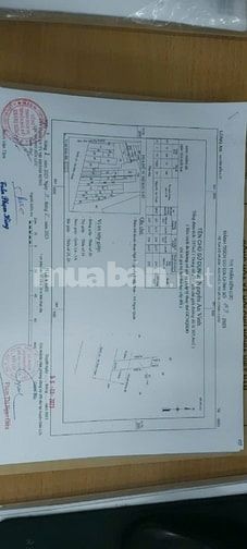 🌹 Nhà mặt tiền QL1A, TT Bến Lức, 10x90m, sổ hồng riêng, giá cực rẻ
