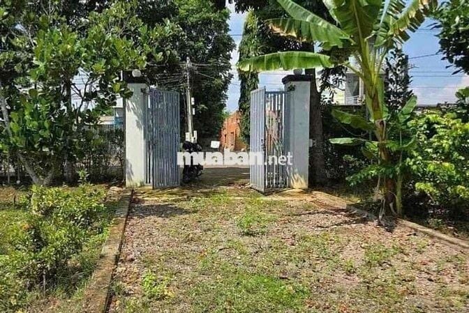 ĐẤT VƯỜN 1000m2 450 TRIỆU đường 16 mét ĐÃ CÓ SỔ HỒNG RIÊNG