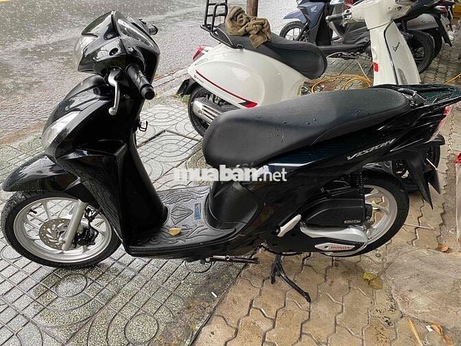 vioson 2023 biể Tp