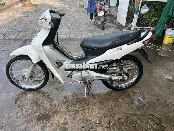 xe 50 máy êm ru bs83