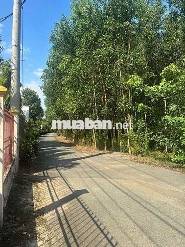 Bán đất 2 mặt tiên cách quốc lộ 51 tầm 100 mét