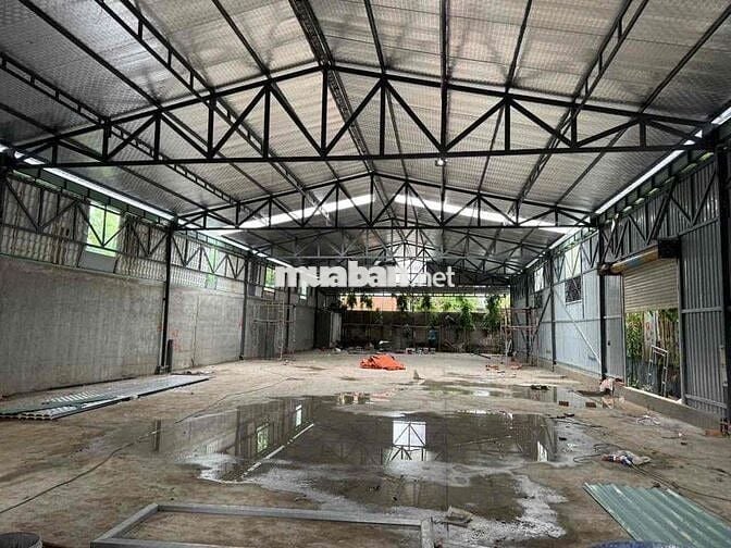cho thuê 500mv nhị bình Hóc Môn - Giá: 12tr/th