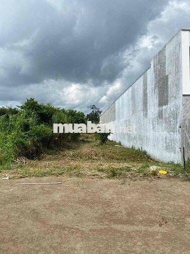 BÁN 500m2 ĐẤT XÂY TRỌ, NGHỈ DƯỠNG, CÁCH NGUYỄN VĂN CỪ 100m, P.LONG TUY