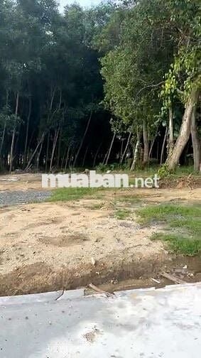 Đất Hòa Bắc- 400m2- có 260m2 đất ở