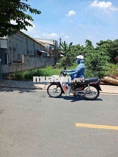 ĐẤT MẶT TIỀN SHR🫰12M×21M.XÂY BIỆT THỰ .LÀM NHÀ VƯỜN VÍP NHẤT .