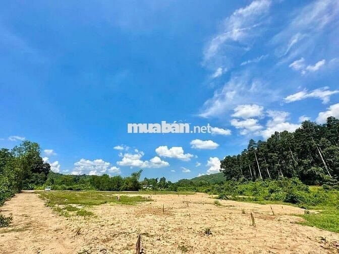 ĐẤT VƯỜN KHÁNH VĨNH - KHÁNH THƯỢNG