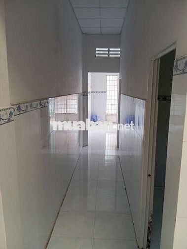 Nhà bán hoặc cho thuê nguyên căn