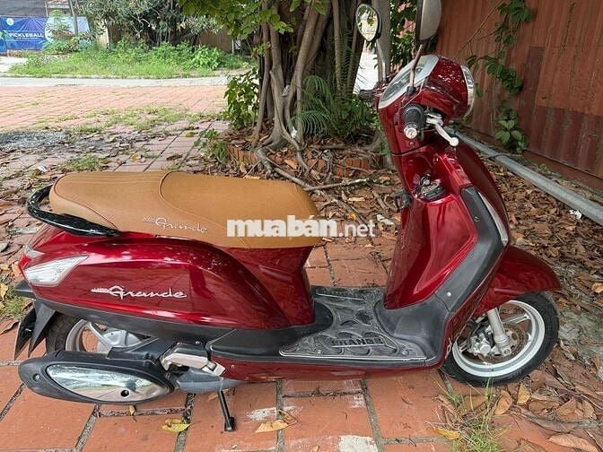 xe đẹp bền bỉ tốn ít xăng biển vip