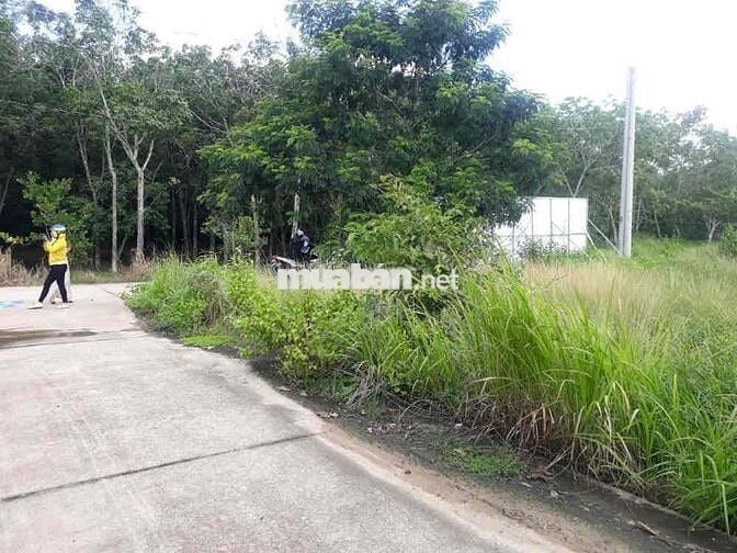 100m2 Đất Bến Cát Giá rẻ gần QL13