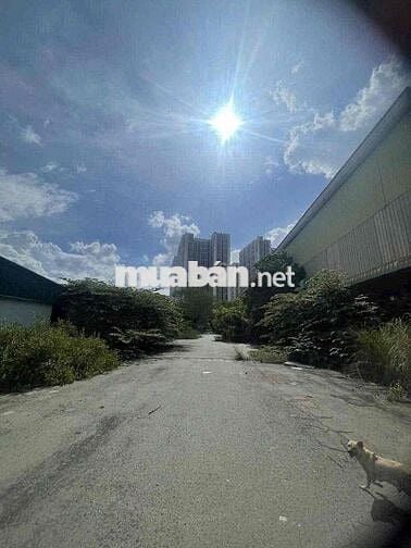 cho thuê kho xưởng mặt tiền Đào Trí 57.000m2