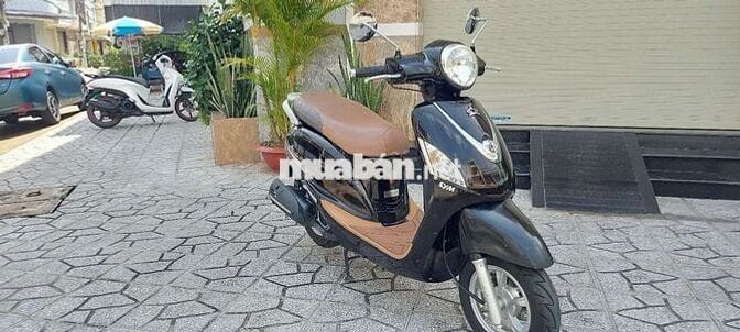Alizabet Fi .đời 2013 bs65 như mới