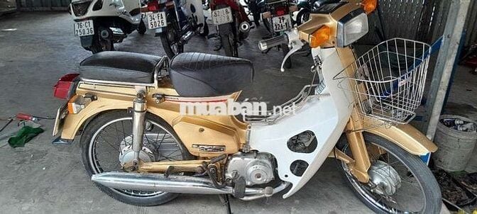 Cub 84 có đề