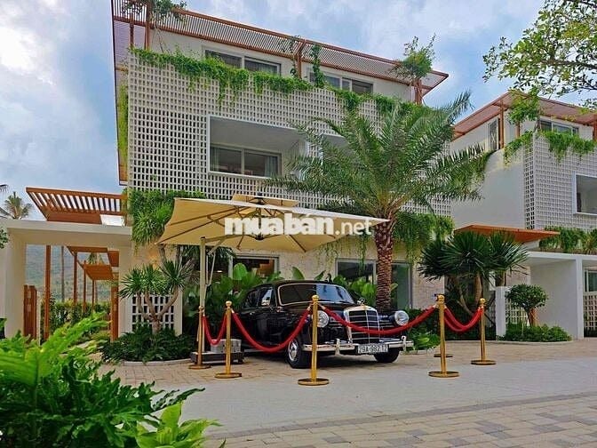 Bán Biệt thự Biển La tiên Villa