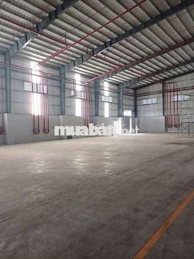 Xưởng cho thuê trong KCN xuyên Á Mỹ Hạnh Long An
