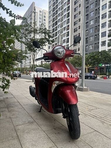 Janus 2020 1 chủ từ đầu