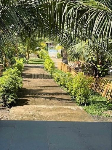 Siêu phẩm đất thổ vườn 330m2 đất ODT Cách Co.op mart Trảng Bàng 500m