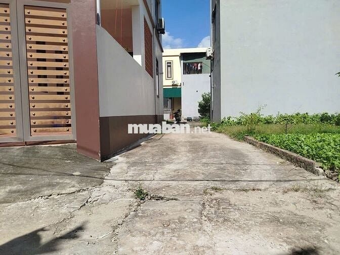 Bán đất thôn Ấp Tre (Tổ 9), Quang Minh, thành phố Hà Nội. Đường thông