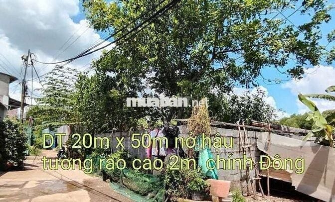 Đất nông nghiệp sổ riêng 1000m2 vĩnh lộc A bình chánh tphcm