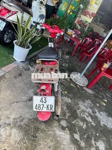 cub 50 giấy đầy đủ