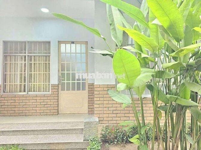 Cho thuê vila 1pn full nội thất gần ủy ban Phú Mỹ