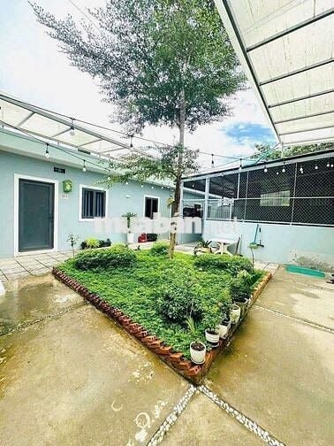 CHO THUÊ MINIHOUSE 35M2 FULL NỘI THẤT CÓ SÂN VƯỜN GIÁ 4.5TR/THÁNG