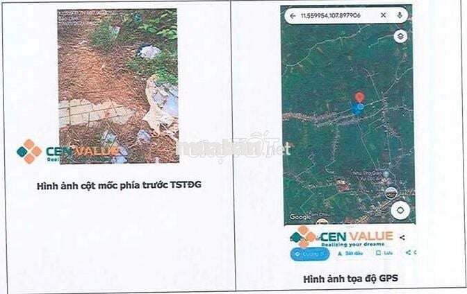Bán ĐGTS đất tại TĐ số: 559, xã Bảo Lâm 2, tỉnh Lâm Đồng