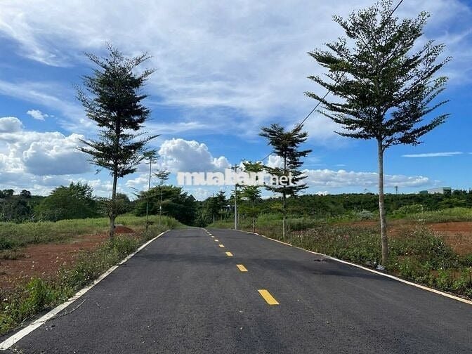 Chính chủ cắt lỗ thêm 200tr lô đất Lộc An trong khu dân cư hiện hữu