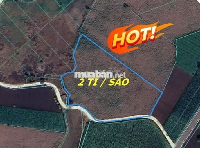 Bán đất 2 tỉ/sào CHÍNH CHỦ - Xã Láng dài - Bà Rịa Vũng Tàu