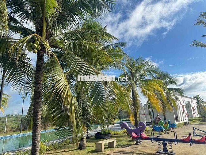 Chính chủ cần bán nền đất The Diamond City 90m2 Giá 1tỷ3 Sổ sẵn