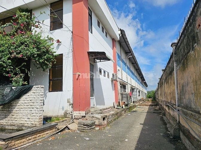 Cho thuê kho xưởng 2.400m2, trong KCN Tân Tạo, Bình Tân, PCCC tự động 