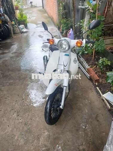 XE 50 CUP DAELIM VỎ THEO XE CÒN MỚI