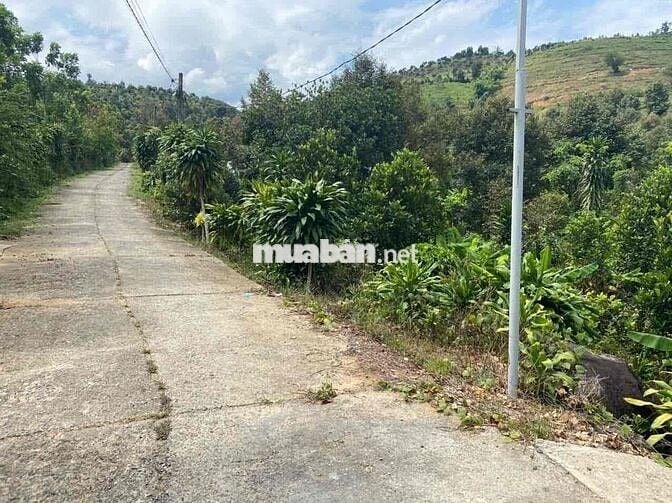 Cần bán gấp lô đất Madagui cách ql20 200m