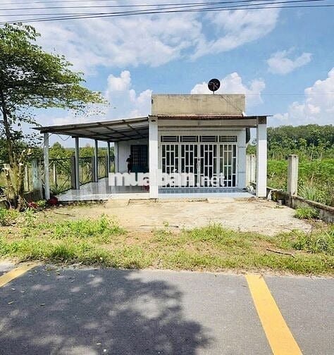 835 triệu sổ hữu ngay ngôi ngà cấp 4 trên đất 617m2 tại Minh Thạnh