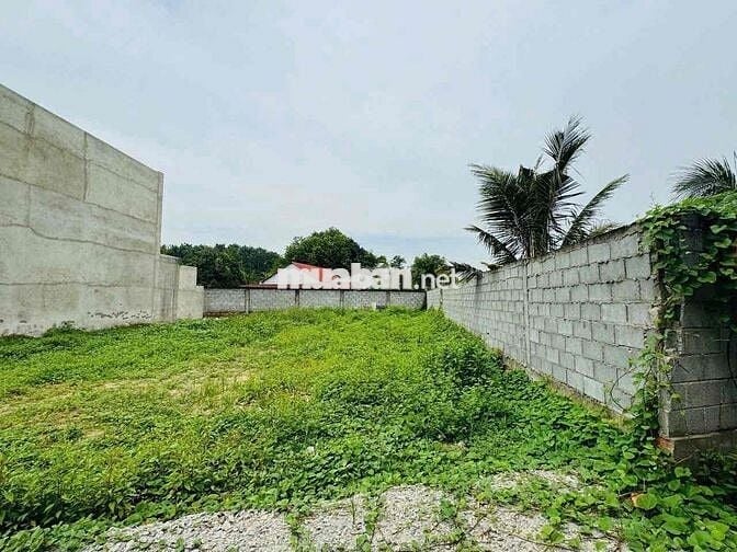 CHẤP NHẬN LỖ ĐỂ BÁN MIẾNG ĐẤT 260m2 CỦ CHI - BAO XÂY DỰNG GIÁ 600TRIỆU