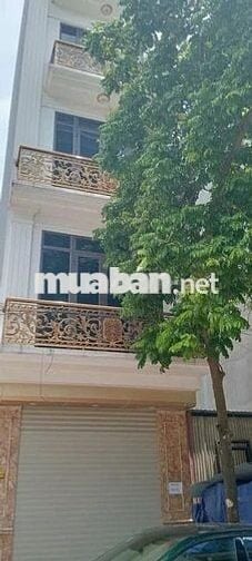 Bán Nhà Cổ Nhuế 59m2 6 Tầng Thang Máy Ô Tô Tránh 15.35 Tỷ