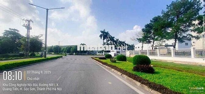 Lô góc Quang Tiến- Sóc Sơn- Kinh Doanh- Đường thông- oto tránh-85m-MT